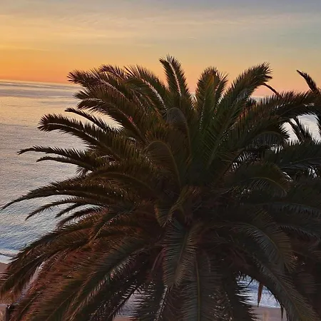 Acapulco Playa Beautiful Seaview Daire *